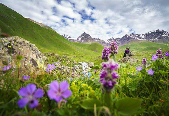 Wildflowers, mountains and expeditioner (c) Dietmar Denger